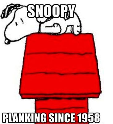 funny-Snoopy-planking-dog-house